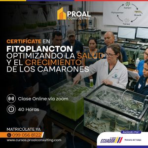 FITOPLANCTON
