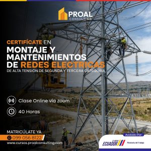 MONTAJE Y MANTENIMIENTOS DE REDES ELECTRICAS DE ALTA TENSIÓN DE SEGUNDA Y TERCERA CATEGORIA