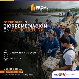 BIORREMEDIACIÓN