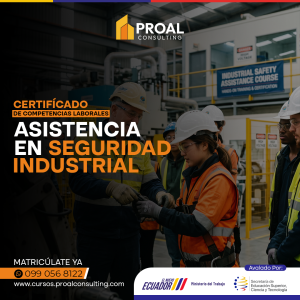ASISTENCIA EN SEGURIDAD INDUSTRIAL - 5 AÑOS