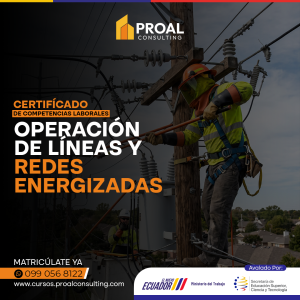 OPERACIÓN DE LINEAS Y REDES ENERGIZADAS - 5 AÑOS
